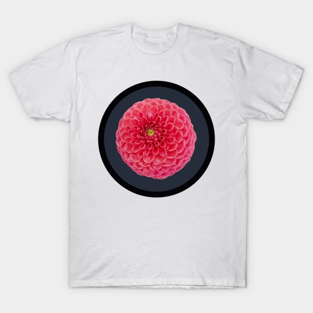 Red Ball Dahlia Flower Circle Frame T-Shirt by ellenhenryflorals
